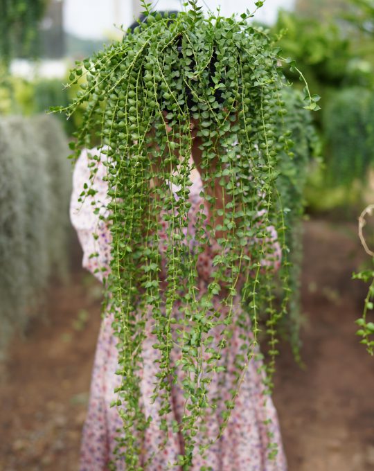 เดปหัวใจราคา600บาท